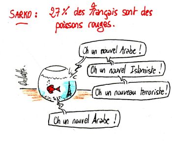 562-A-copie-1.jpg