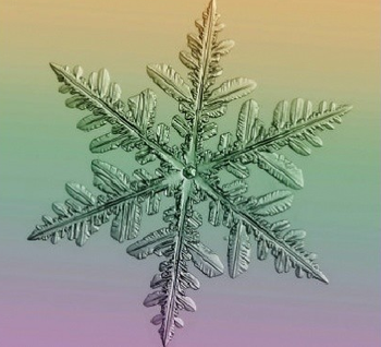1 hiver flocon de neige