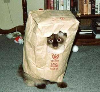chat_cache.jpg