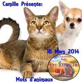 camille-mots-d-animaux-18-mars_.jpg