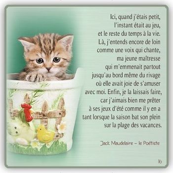 chat-poete-n-16.jpg