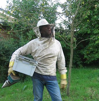 gilles abeilles