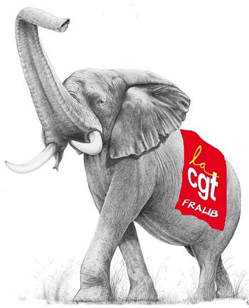 fralib-elephant.jpg
