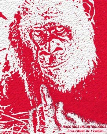 bonobo.incontrolado-copie-1