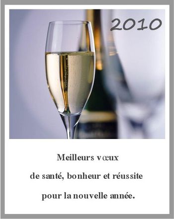 blog-voeux2010_1.jpg