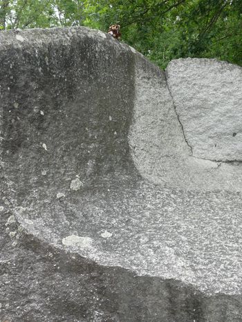 P1820037