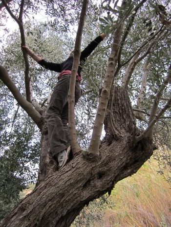 ------2011-019.JPG