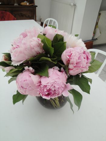 Pivoines : magnifique bouquet, merci les filles.