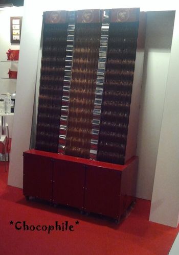 saloncho2012 (2)