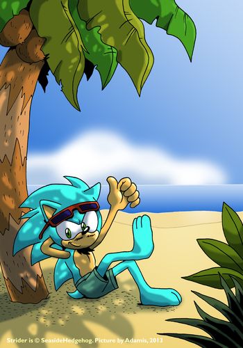 BeacHedgehog.jpg