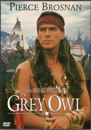 Grey-Owl.jpg