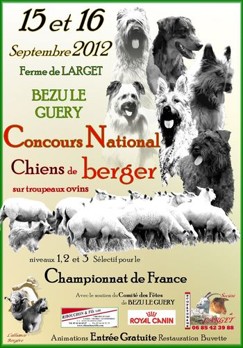 concours affiche royal canin 2012