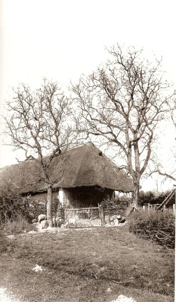 Habitat 26