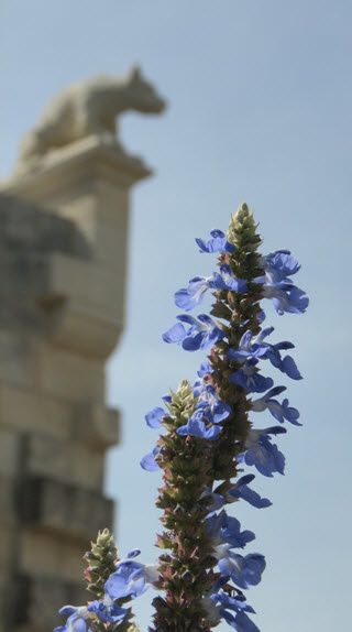 24-09-2011 19-30-42