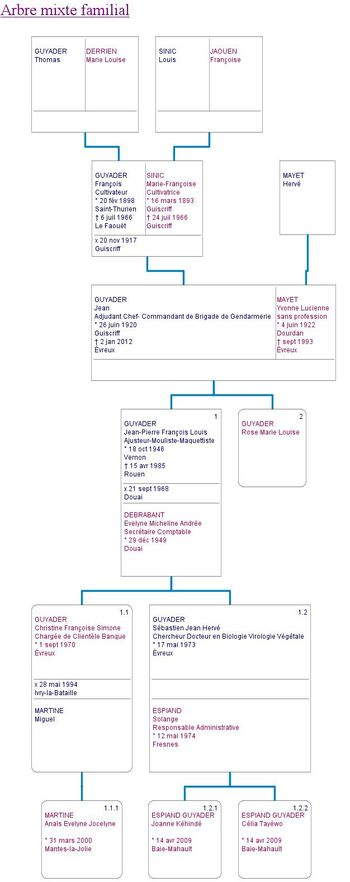 Arbre-mixte-familial-Jean-Guyader.jpg