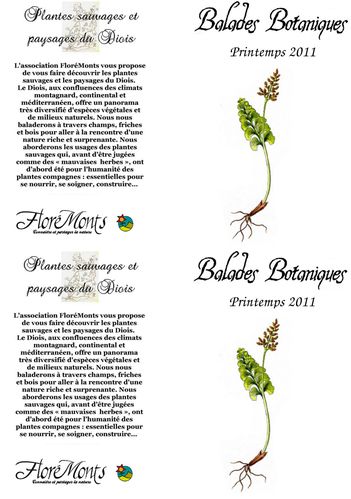 Balades-botaniques-Floremonts-2011-p1-r2.jpg