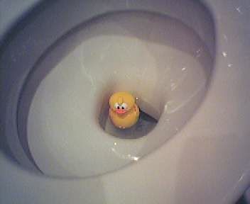 Canard Wc