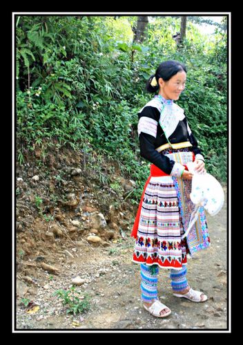 J17 Hmong