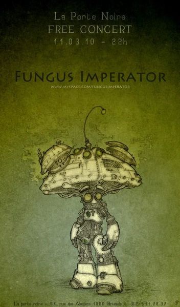Fungus-PorteNoire 11 mars 10
