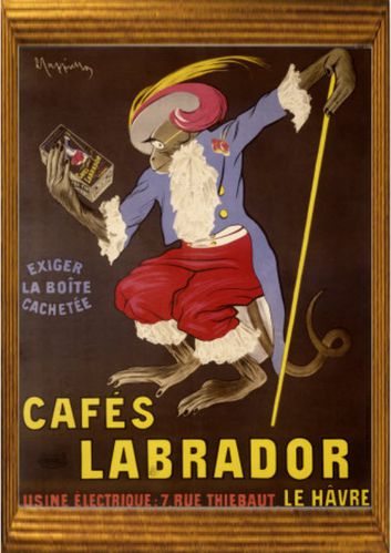 Cafes-Labrador.jpg