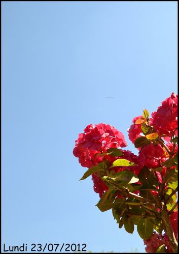 21-07-20123.jpg