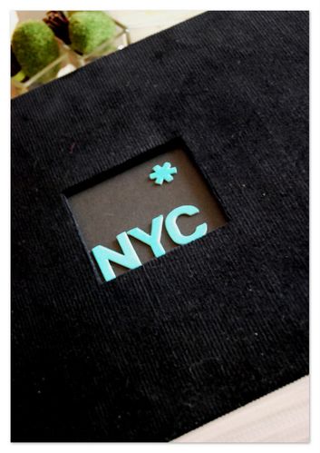 NYC5 (2)