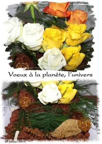 2011 25 01 voeux à la planete (2)