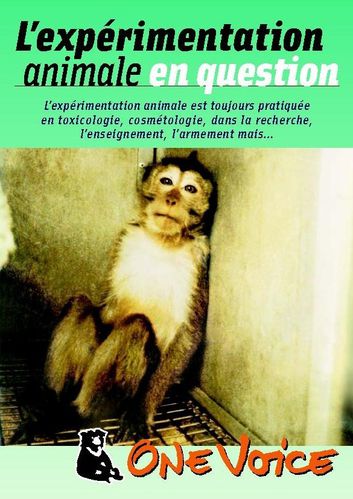 l_experimentation_animale_en_question.jpg