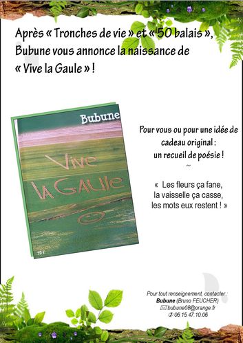 Affiche-recueil-Vive-la-Gaule.jpg