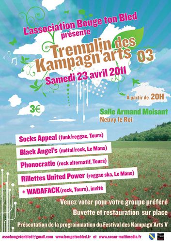 affichetremplin2011.jpg