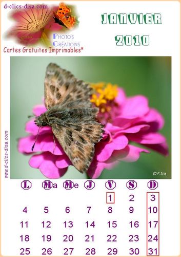 calendrier-1-janvier-2010-d-clics-disa.jpg