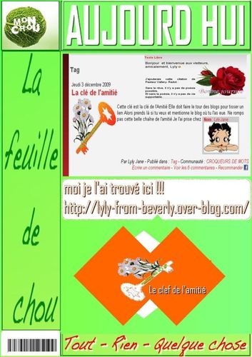 AUJOURD HUI FEUILLE lily