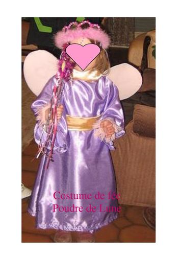 costume-fee2.jpg