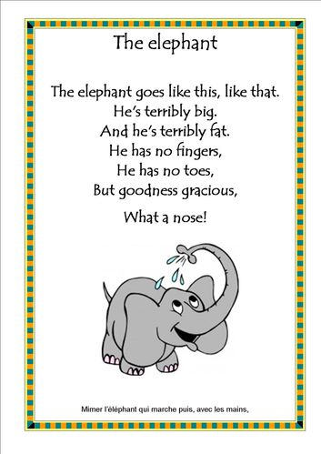 the elephant image