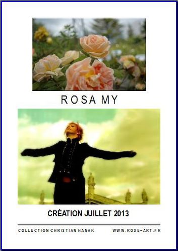 rosa-my.JPG