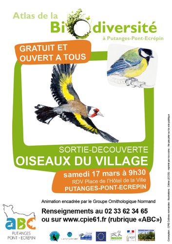 Sortie-Oiseaux-du-Village-Putanges-ABC.jpg