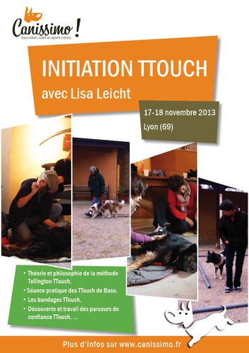 Stages TTouch sur Lyon Nov 2013 (initiation) et Janv 2014 Stages TTouch sur Lyon Nov 2013 (initiation) et Janv 2014