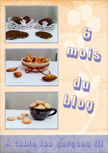 6 mois blog