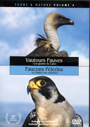 Rencontres hommes veufs midi pyrenees