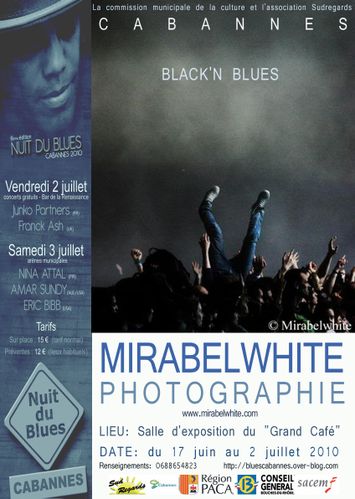 EXPO-2010-AFFICHE-version-blues-copier.jpg