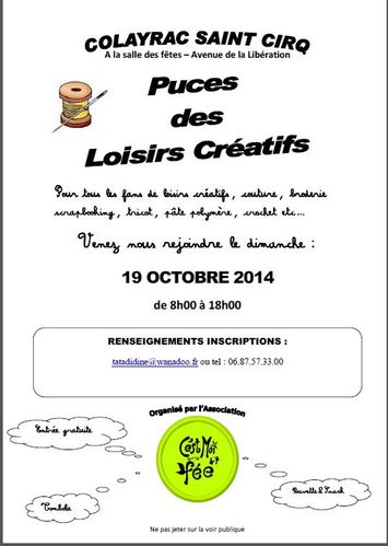 affiche puces 2014