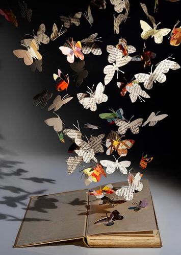 su blackwell papillons