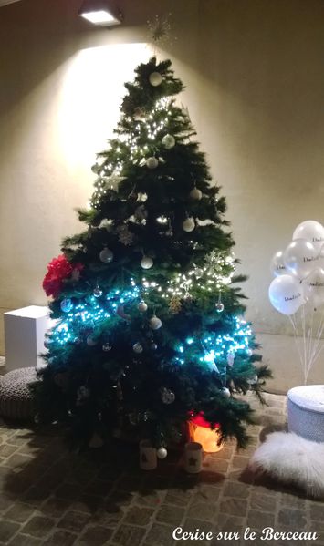 sapin-de-noel-bleu-et-blanc.jpg