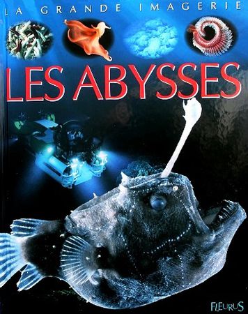 Les-Abysses-La-grande-imagerie-1.JPG