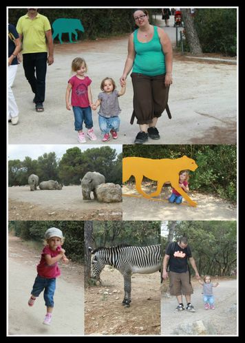 zoo-copie-1.jpg