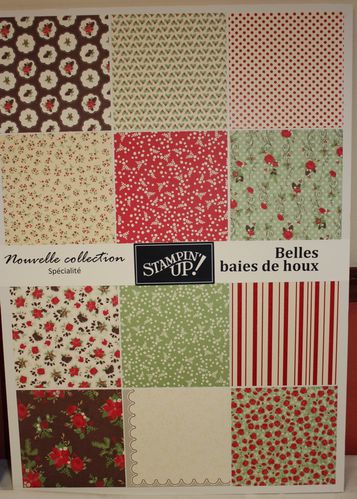 Papiers-Spec-Belles-baies-de-houx.jpg