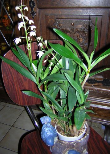 DSCN4940.JPG