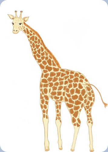 blog-girafe5