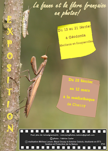 affiche-2---Copie--2-.png