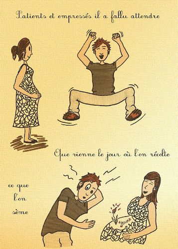 Planche-2